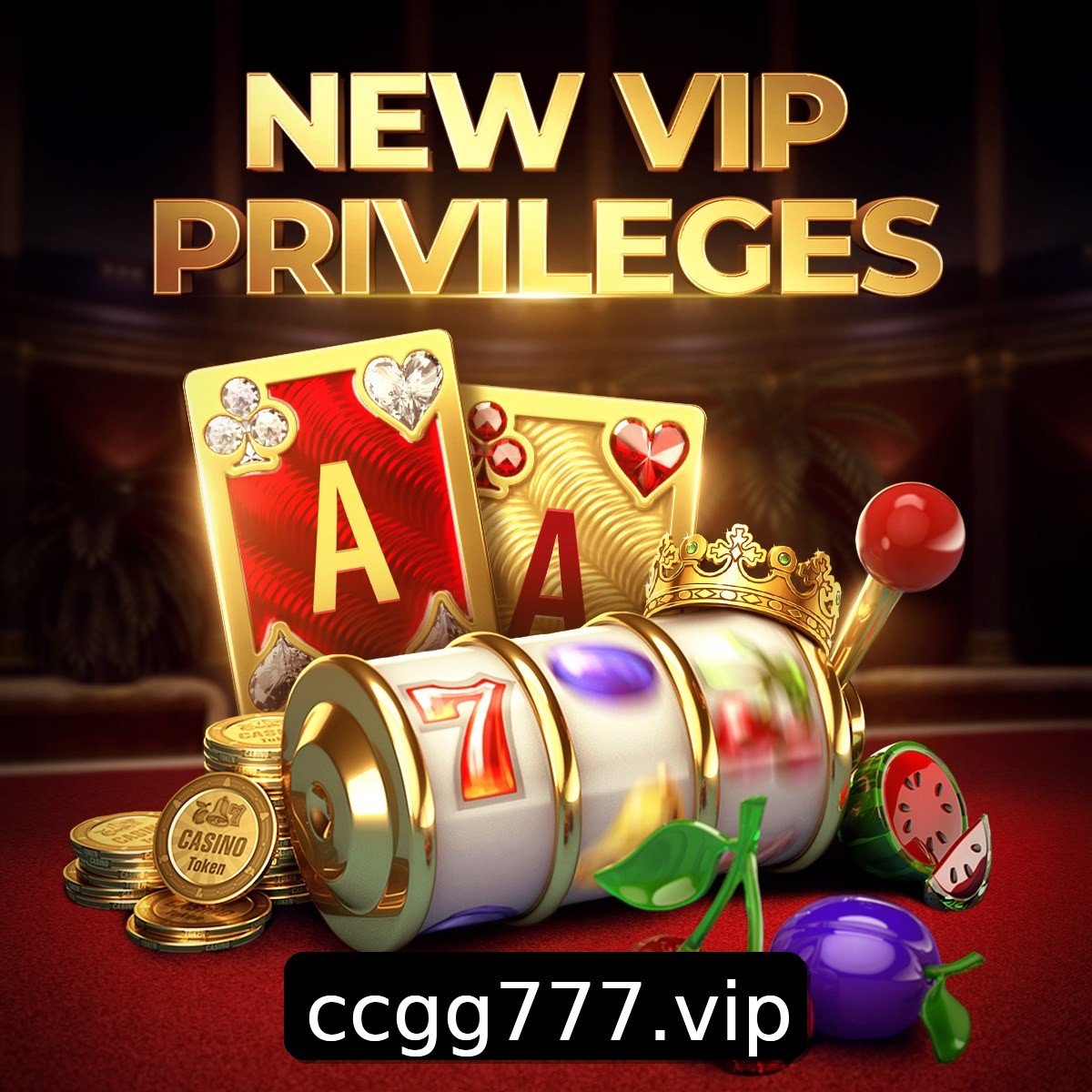 Programa VIP CCGG